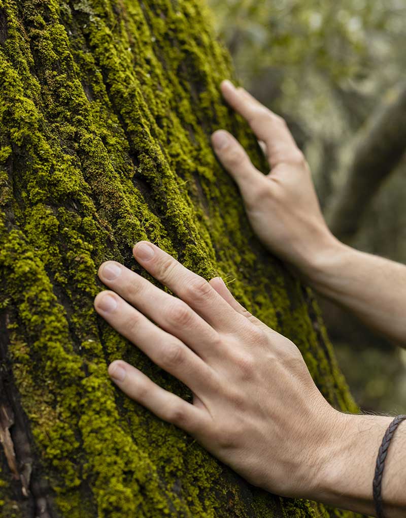 Bain de Forêt Individuel Toulouse Bain de Forêt Individuel Toulouse